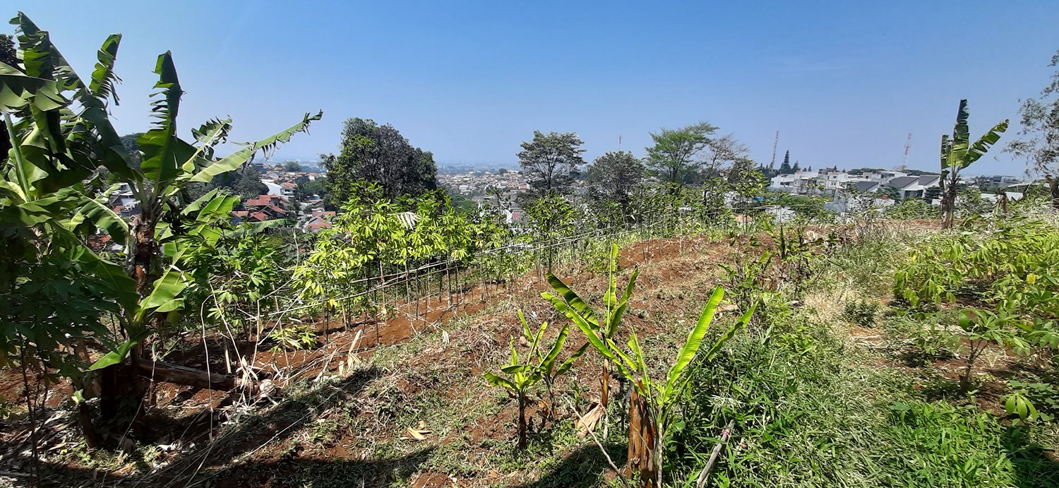 TANAH RESIDENSIAL VIEW KOTA BANDUNG DI PASIR IMPUN BANDUNG - 10