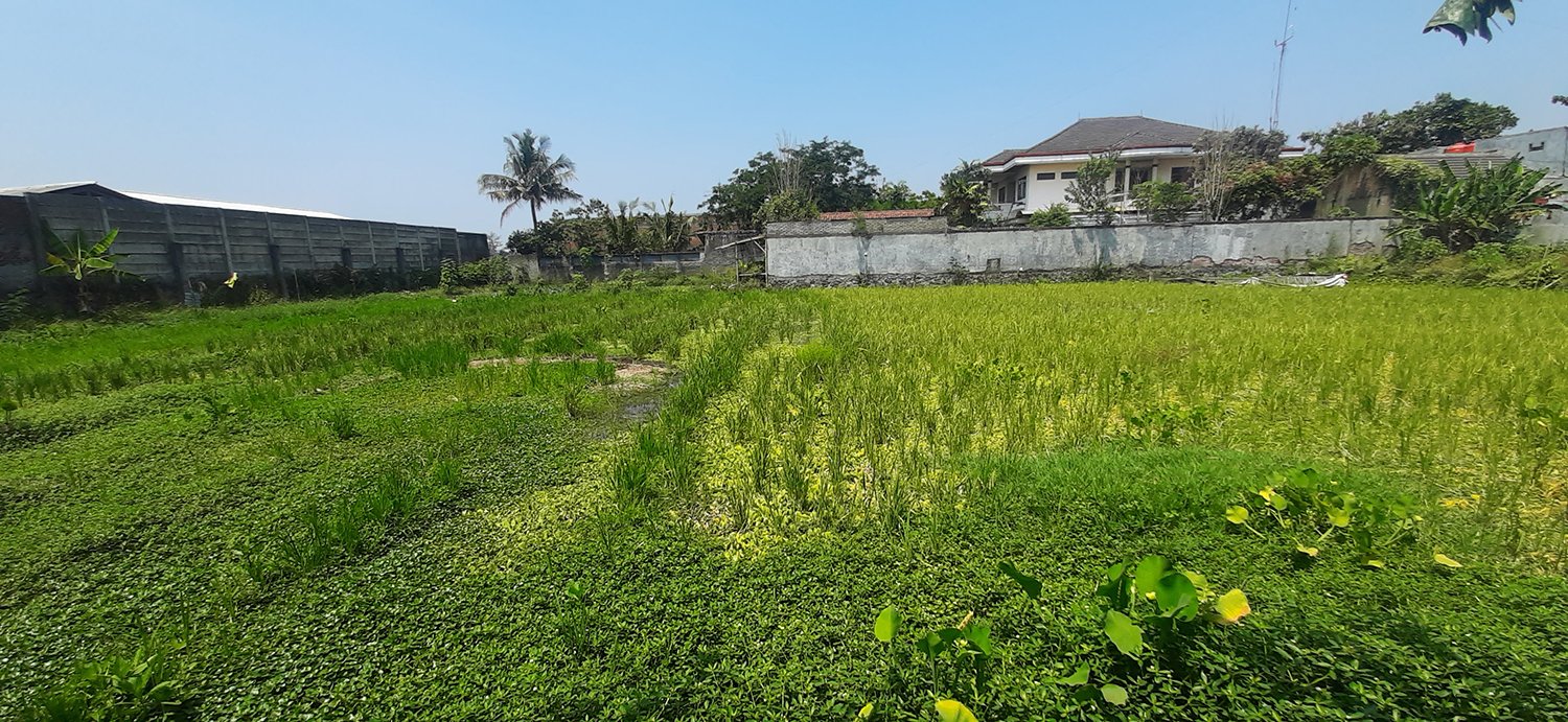 TANAH KOMERSIAL DI JALAN CIPAMOKOLAN BANDUNG - 16