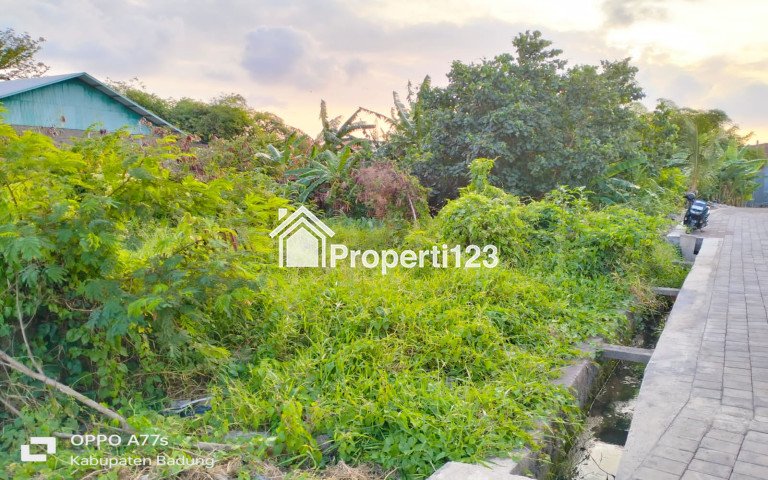 Dijual tanah kavling di Padonan dkt Canggu Berawa Kuta Utara - 6
