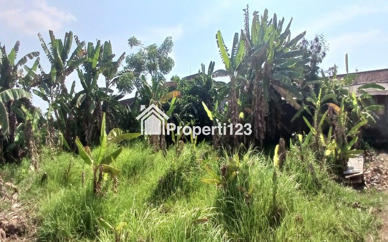 Disewakan tanah 4 are di Padang Galak Sanur Denpasar Bali - 2