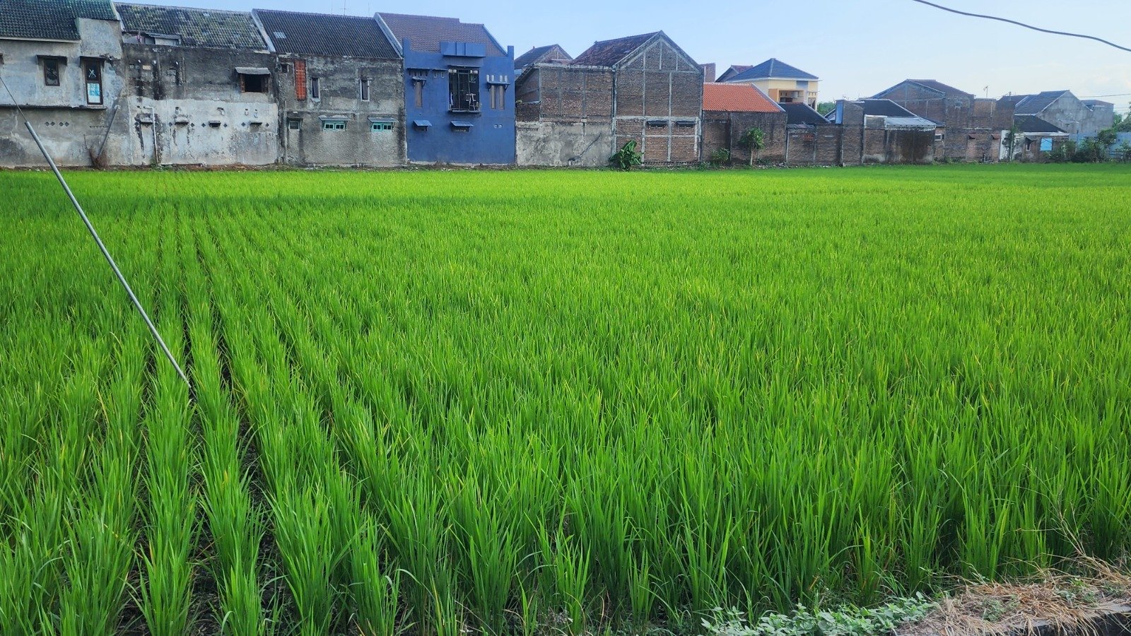 DIJUAL Lahan Istimewa di Pusat Kota Madiun - 8