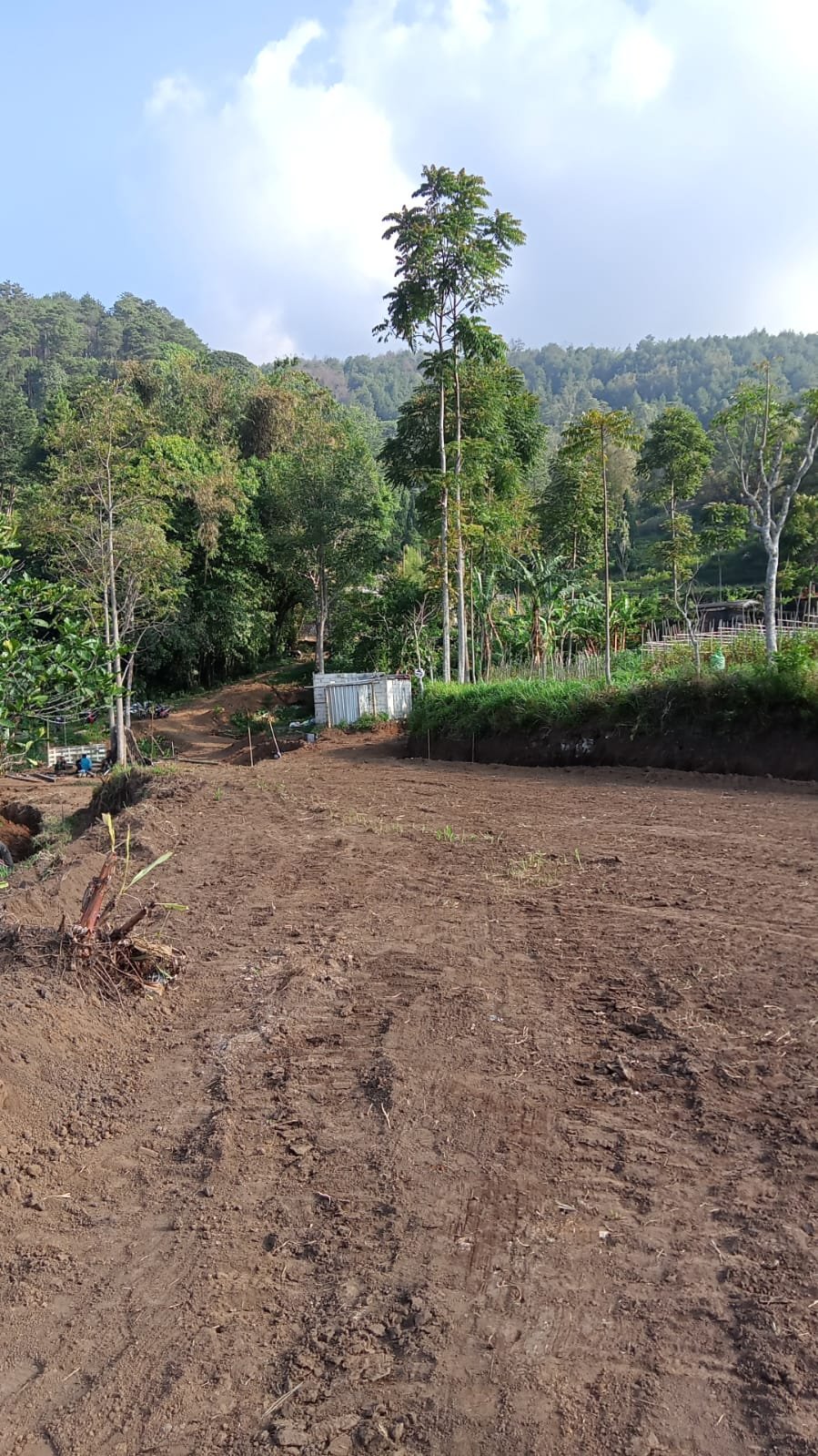 Dijual Tanah Pekarangan di CLAKET - PACET MOKER - 5