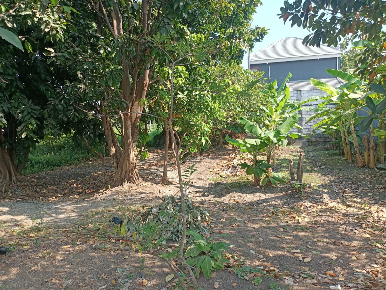 Jual Tanah Pekarangan, Pekarungan, Sukodono, Sidoarjo - 4