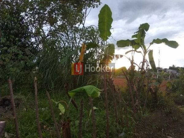 dijual tanah harga terjangkau murah nyaman - 1