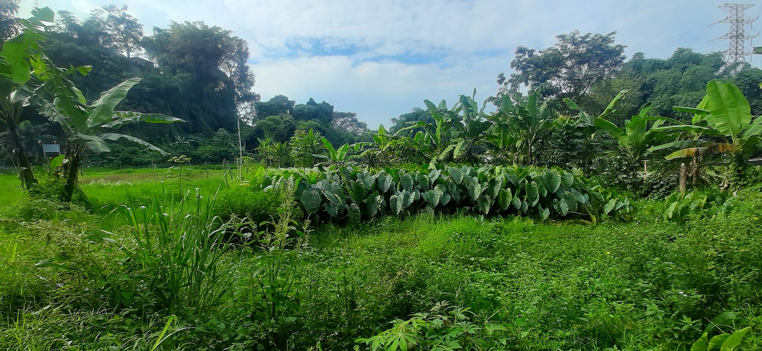 TANAH RESIDENSIAL SAYAP SERSAN BAJURI BANDUNG - 2