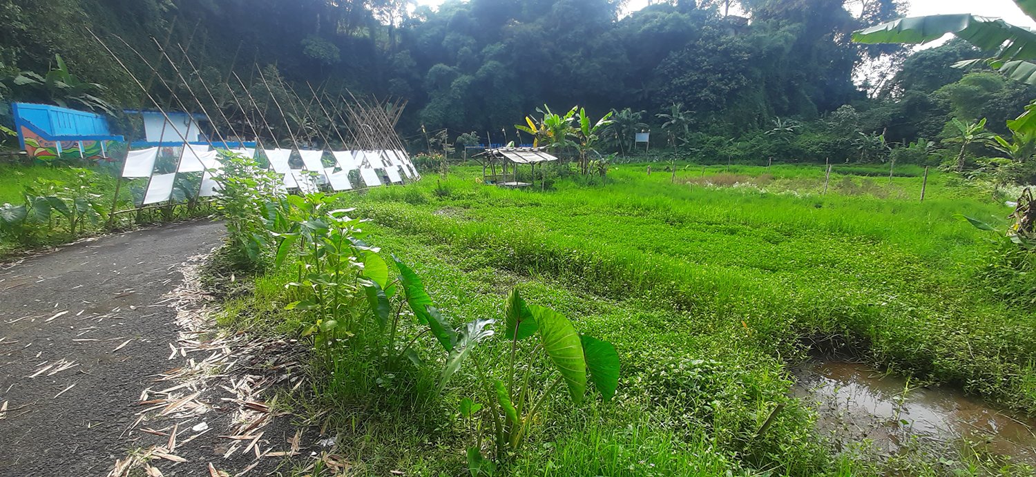 TANAH RESIDENSIAL SAYAP SERSAN BAJURI BANDUNG - 6