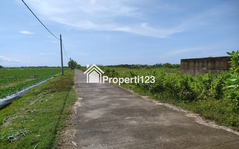 Dijual tanah 2,43 hektare di Pengambengan Negara Jembrana Bali - 2