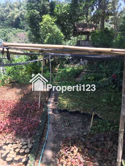 Dijual Turun Harga !! - 10