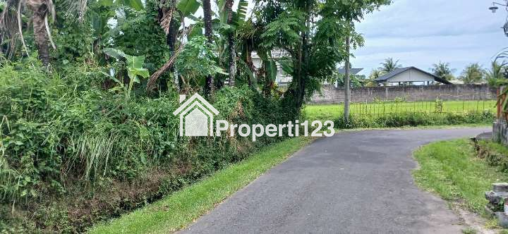 DIjual tanah 6 are di Nyambu Kaba-Kaba Kediri Tabanan Bali - 5