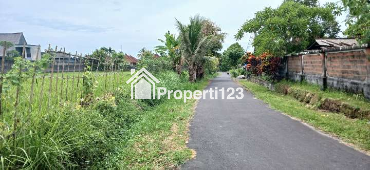 DIjual tanah 6 are di Nyambu Kaba-Kaba Kediri Tabanan Bali - 4