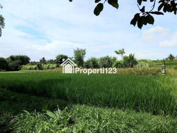 Tanah ada mata air zona perdagangan dan jasa Abiansemal Badung Bali - 2
