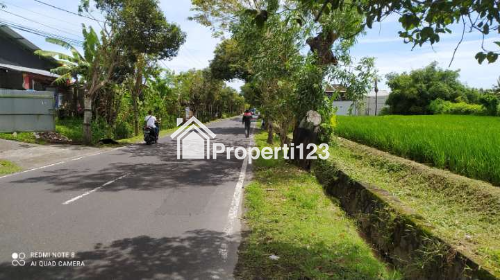 Tanah ada mata air zona perdagangan dan jasa Abiansemal Badung Bali - 3
