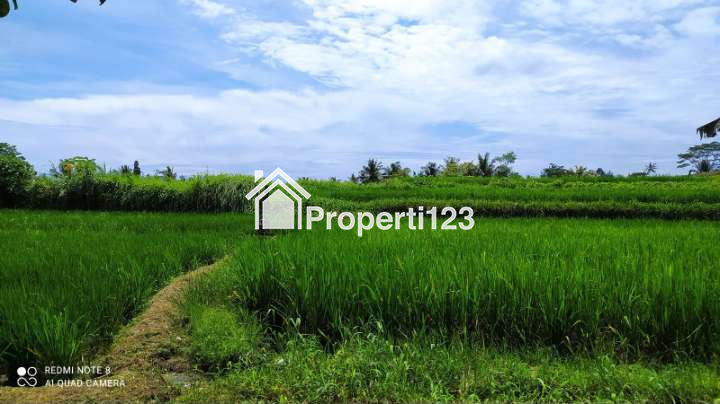 Tanah ada mata air zona perdagangan dan jasa Abiansemal Badung Bali - 4