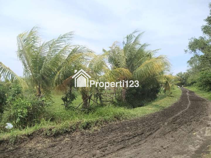 Dijual tanah tambak 1,8 hektare area Melaya Jembrana Bali - 3