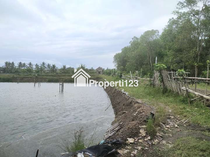 Dijual tanah tambak 1,8 hektare area Melaya Jembrana Bali - 2