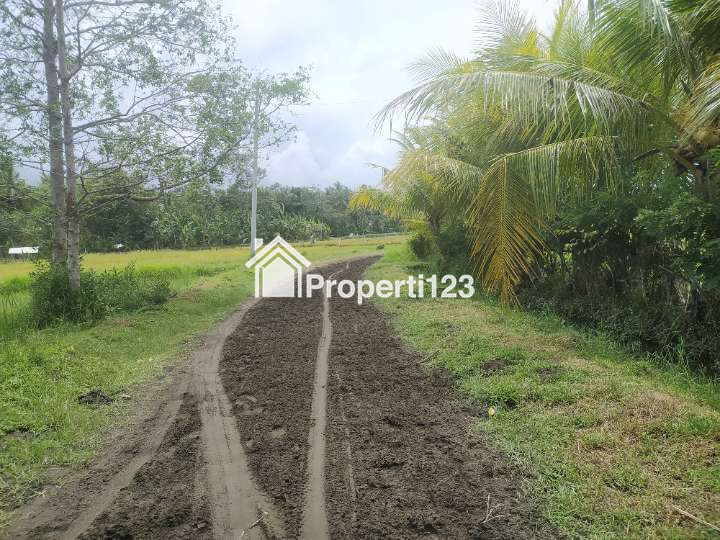 Dijual tanah tambak 1,8 hektare area Melaya Jembrana Bali - 4