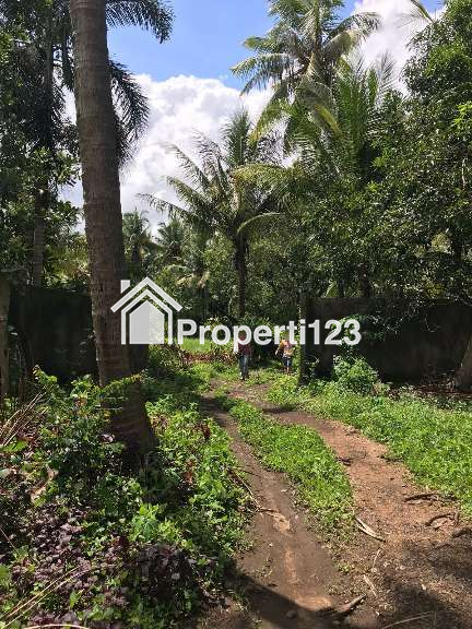 Dijual tanah los pantai 1,6 hektare di Tejakula Buleleng Bali - 3