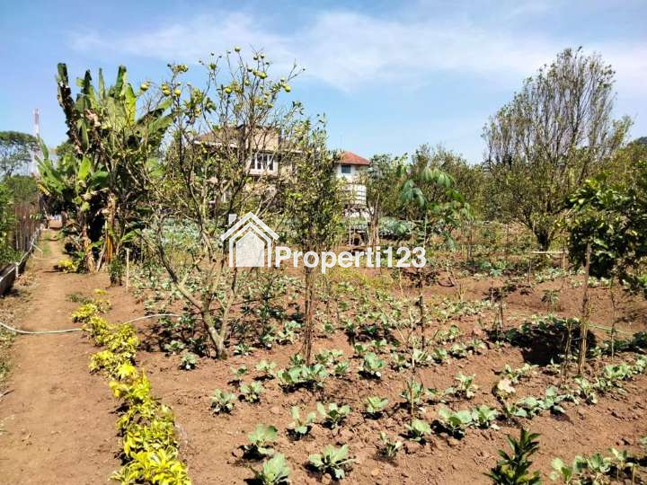 RUMAH VILLA HARGA MIRING TANAH SUPER LUAS FREE FURNISH DI BATU - 13