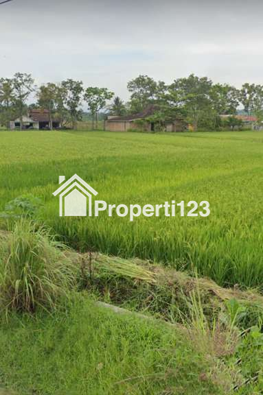 DIJUAL PEKARANGAN VIEW SAWAH DI UTARA RS ATAUROT SEYEGAN SLEMAN DIY - JOGJA - 3