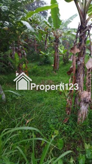 Jual Tanah pinggir jalan bisa untuk rumah dan usaha - 1