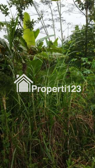Jual Tanah pinggir jalan bisa untuk rumah dan usaha - 2