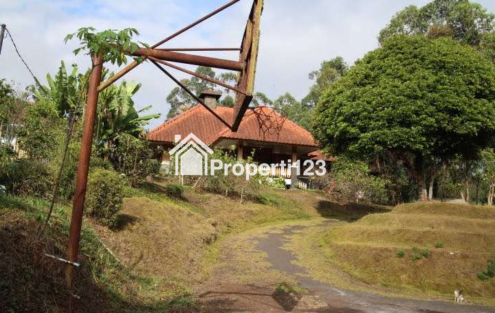 DIJUAL RUMAH & KEBUN LUAS : RUMAH MODEL PANGGUNG KOLONIAL BETAWI (SEMI VILLA), DIKAKI GUNUNG PAPANDAYAN, CISURUPAN, GARUT, JAWA BARAT - 16