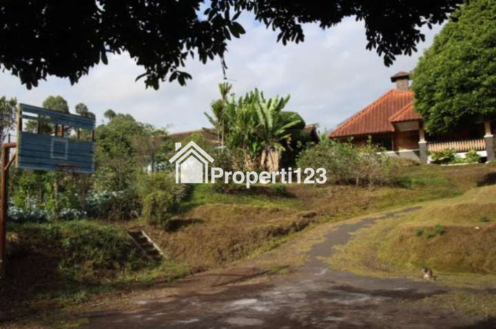 DIJUAL RUMAH & KEBUN LUAS : RUMAH MODEL PANGGUNG KOLONIAL BETAWI (SEMI VILLA), DIKAKI GUNUNG PAPANDAYAN, CISURUPAN, GARUT, JAWA BARAT - 9