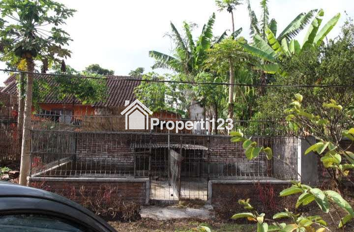 DIJUAL RUMAH & KEBUN LUAS : RUMAH MODEL PANGGUNG KOLONIAL BETAWI (SEMI VILLA), DIKAKI GUNUNG PAPANDAYAN, CISURUPAN, GARUT, JAWA BARAT - 12