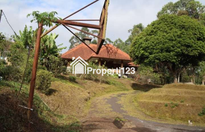 DIJUAL RUMAH & KEBUN LUAS : RUMAH MODEL PANGGUNG KOLONIAL BETAWI (SEMI VILLA), DIKAKI GUNUNG PAPANDAYAN, CISURUPAN, GARUT, JAWA BARAT - 4