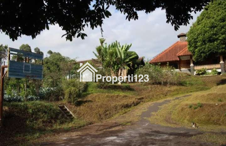 DIJUAL RUMAH & KEBUN LUAS : RUMAH MODEL PANGGUNG KOLONIAL BETAWI (SEMI VILLA), DIKAKI GUNUNG PAPANDAYAN, CISURUPAN, GARUT, JAWA BARAT - 8