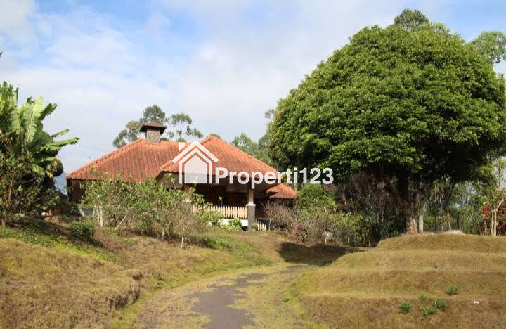 DIJUAL RUMAH & KEBUN LUAS : RUMAH MODEL PANGGUNG KOLONIAL BETAWI (SEMI VILLA), DIKAKI GUNUNG PAPANDAYAN, CISURUPAN, GARUT, JAWA BARAT - 14