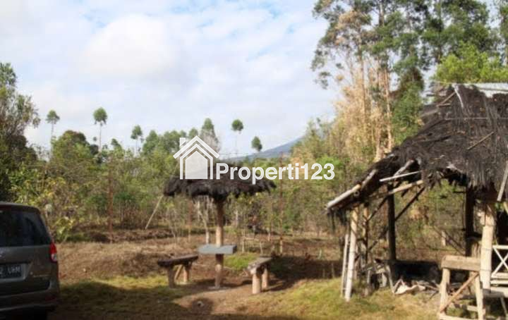 DIJUAL RUMAH & KEBUN LUAS : RUMAH MODEL PANGGUNG KOLONIAL BETAWI (SEMI VILLA), DIKAKI GUNUNG PAPANDAYAN, CISURUPAN, GARUT, JAWA BARAT - 7
