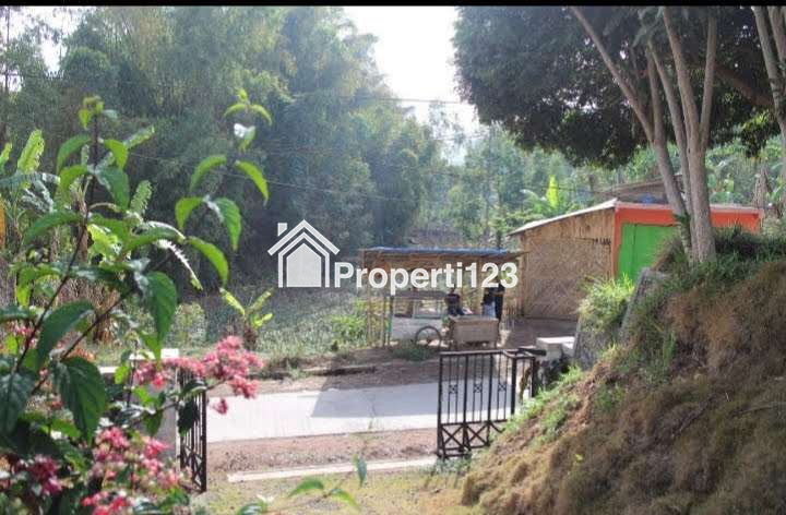 DIJUAL RUMAH & KEBUN LUAS : RUMAH MODEL PANGGUNG KOLONIAL BETAWI (SEMI VILLA), DIKAKI GUNUNG PAPANDAYAN, CISURUPAN, GARUT, JAWA BARAT - 6