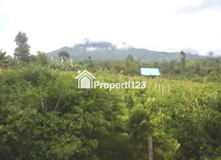 DIJUAL RUMAH & KEBUN LUAS : RUMAH MODEL PANGGUNG KOLONIAL BETAWI (SEMI VILLA), DIKAKI GUNUNG PAPANDAYAN, CISURUPAN, GARUT, JAWA BARAT - 20