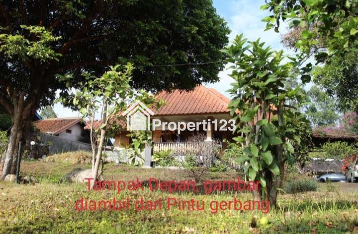 DIJUAL RUMAH & KEBUN LUAS : RUMAH MODEL PANGGUNG KOLONIAL BETAWI (SEMI VILLA), DIKAKI GUNUNG PAPANDAYAN, CISURUPAN, GARUT, JAWA BARAT - 10