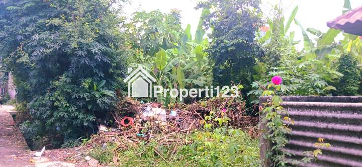 Dijual tanah 7 are kawasan perumahan area jl Buluh Indah Gatsu Barat Bali - 3