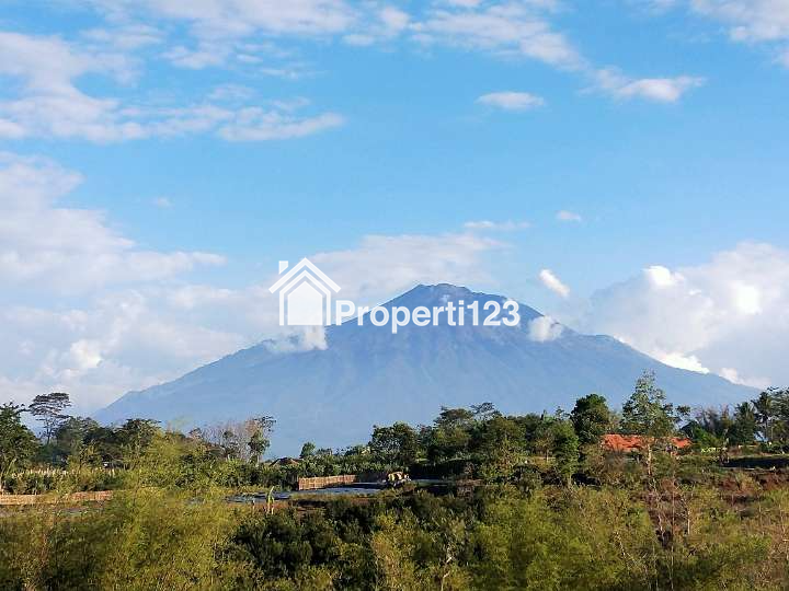 Rumah Murah Angsuran Terserah Mewah di Dau Malang Perbatas Kota Dekat Universitas Promo Gratis Biaya - 5