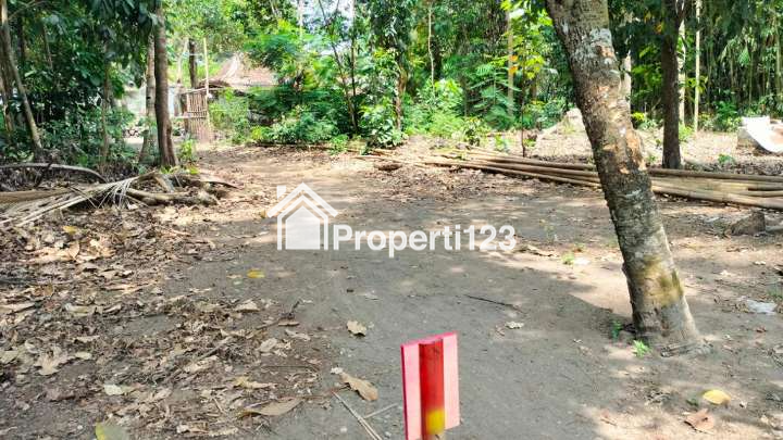 dapatkan rumah cantik murah dekat blue lagoon - 7