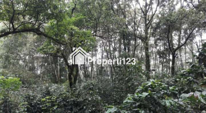 *🔥 LAHAN INVESTASI PREMIUM 800 HA - NEMPEL SAFARI PARK II PRIGEN 🔥* - 4