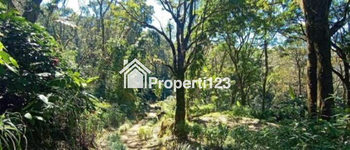 *🔥 LAHAN INVESTASI PREMIUM 800 HA - NEMPEL SAFARI PARK II PRIGEN 🔥* - 3