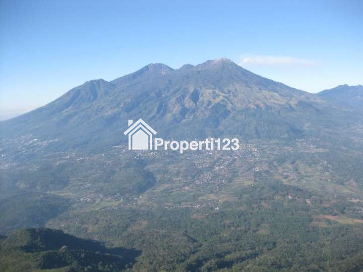 *🔥 LAHAN INVESTASI PREMIUM 800 HA - NEMPEL SAFARI PARK II PRIGEN 🔥* - 2