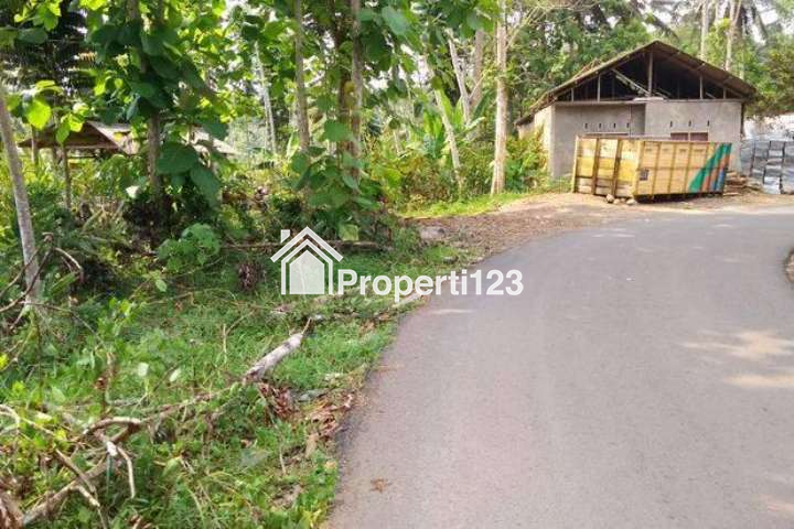 Dijual Tanah Produktif Pinggir Jalan Kabupaten - 6