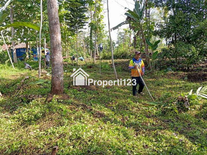Dijual Tanah Produktif Pinggir Jalan Kabupaten - 2