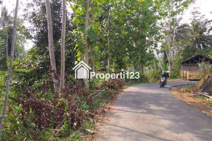 Dijual Tanah Produktif Pinggir Jalan Kabupaten - 3