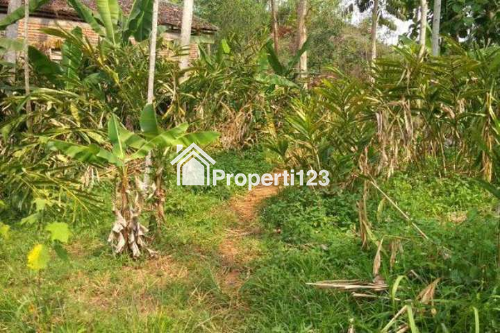 Dijual Tanah Produktif Pinggir Jalan Kabupaten - 5