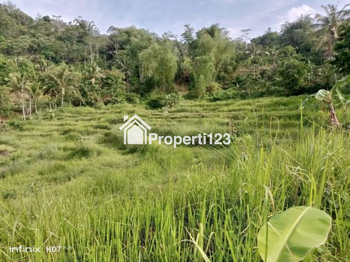 Dijual tanah total luas 10513 m2 daerah Sukabumi - 4
