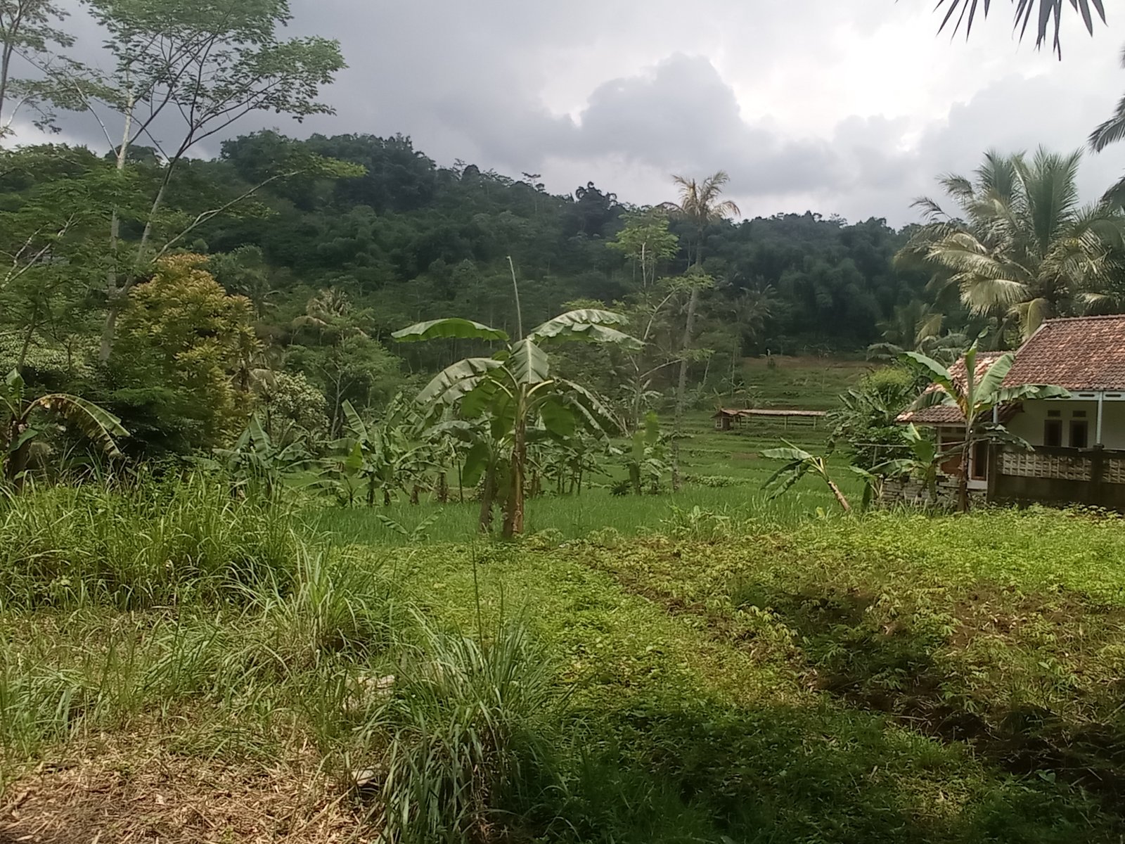Dijual tanah total luas 10513 m2 daerah Sukabumi - 10