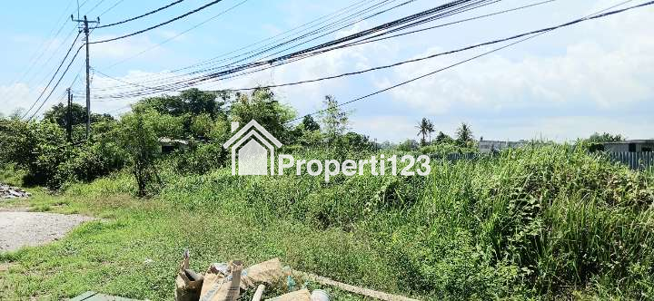 Disewakan tanah 1,2 hektare jl Ida Bagus Mantra Saba Gianyar Bali - 5