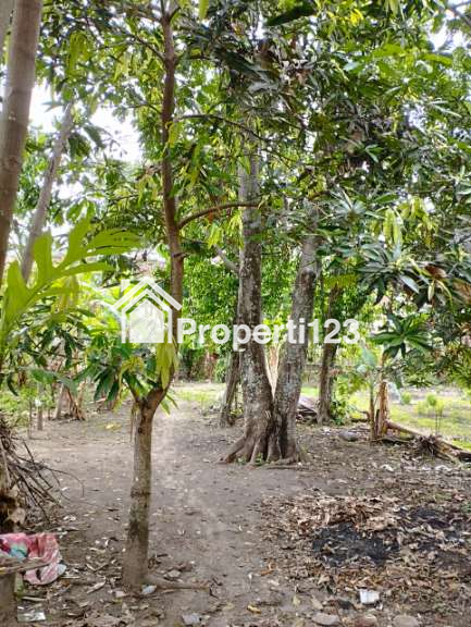 Tanah Kavling Shm, Lokasi Stratrgis 50 Meter Jalan Pleret, Bantul - 5