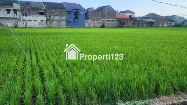 Tanah Super Strategis Istimewa di Pusat Kota Madiun - 5